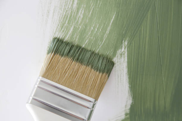 Trusted Folsom, PA Mold Removal Experts